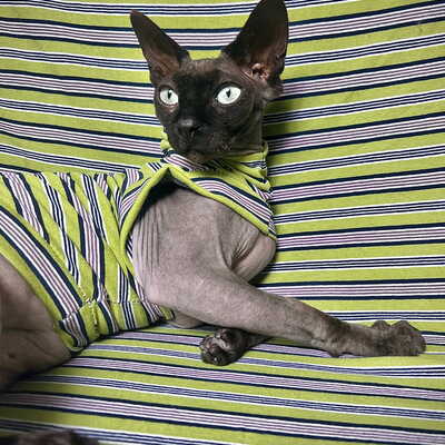 Avocado toast stripes - sleepwear