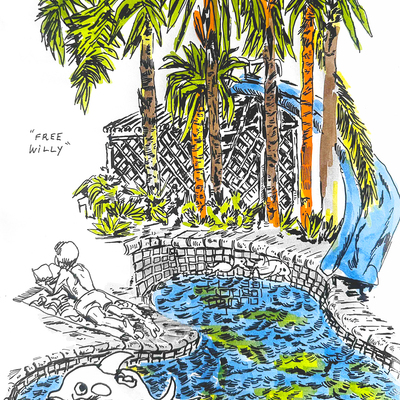 Free willy (drawing) 