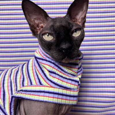 Opaline stripe - ribbed for her pleasure 