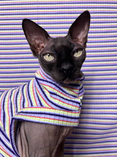 Opaline Stripe - Ribbed For Her Pleasure 