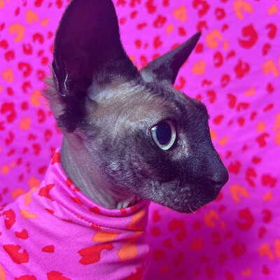 Fuchsia predator - sleepwear - Thumbnail 1