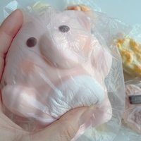 Chinese Squishy Bundle - Thumbnail 1