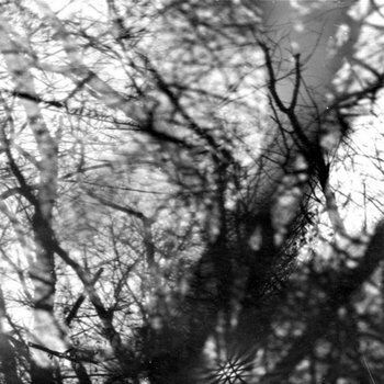 Grouper "Way Their Crept" LP