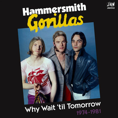 Hammersmith gorillas "why wait 'til tomorrow 1974-1981" 2xlp - Thumbnail 1