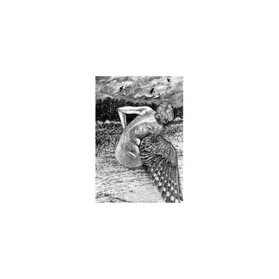 Patrick Lysaght "For The Birds" LP