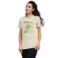 Purslane Omega 3 Short-sleeve Tee - Thumbnail 4
