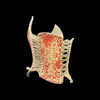 Red Brocade wearable ceramic corset by: Nicole Moan  - Thumbnail 5