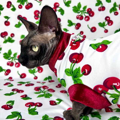 Kiss me cherry