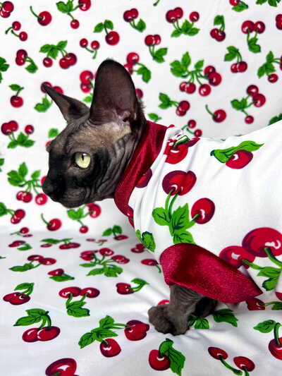 Kiss Me Cherry