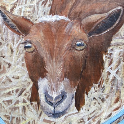 "curious goat" acrylic painting, 8x10 inch canvas, original artwork by n.e.thompson