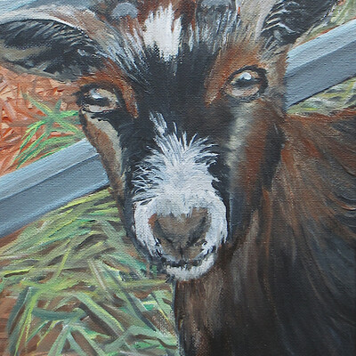 "friendly goat" acrylic painting, 8x10 inch canvas, original artwork by n.e.thompson