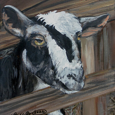 "sleepy goat" acrylic painting, 8x10 inch canvas, original artwork by n.e.thompson
