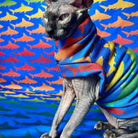 Shark! - Yeezus - Thumbnail 1