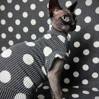 Raised Lines (Polka Dot) - Thumbnail 2
