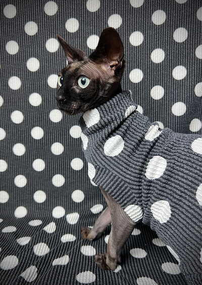 Raised Lines (Polka Dot)