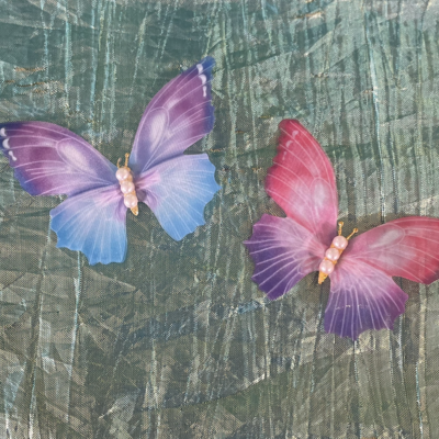 Butterfly hair clips