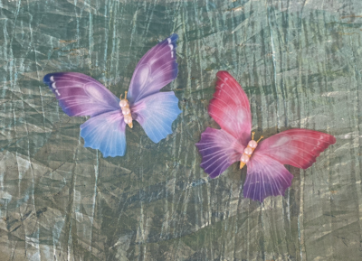Butterfly Hair Clips