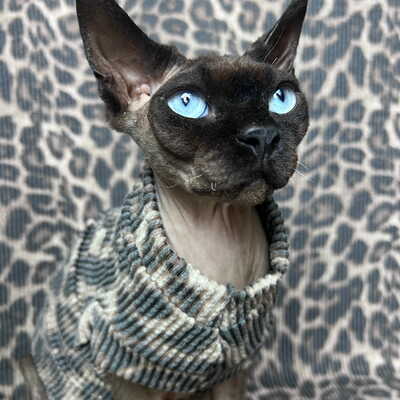 Raised lines (leopard)