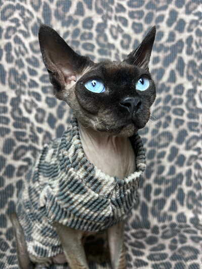 Raised Lines (Leopard)