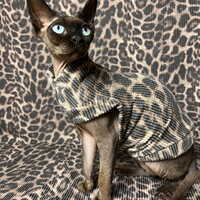 Raised Lines (Leopard) - Thumbnail 1