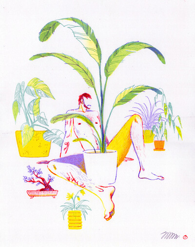 Flora & Fauna