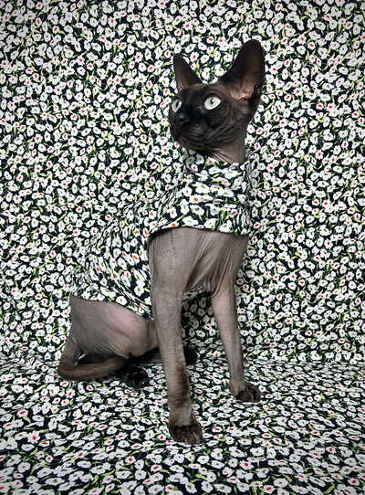 Night Bloom - Sleepwear