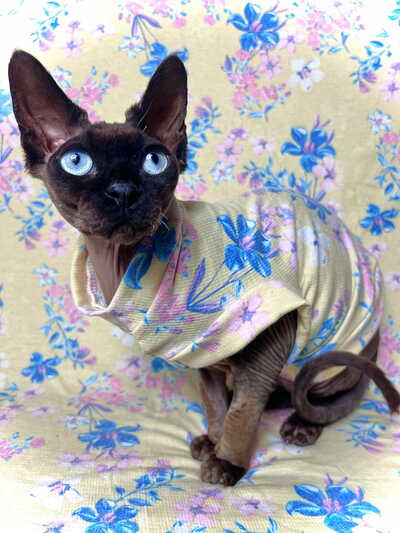 Butter Bloom Thermal