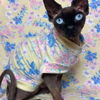 Butter Bloom Thermal - Thumbnail 2