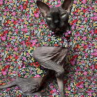 Wildflower Confetti - Sleepwear - Thumbnail 1