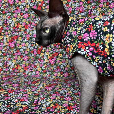 Wildflower confetti - sleepwear
