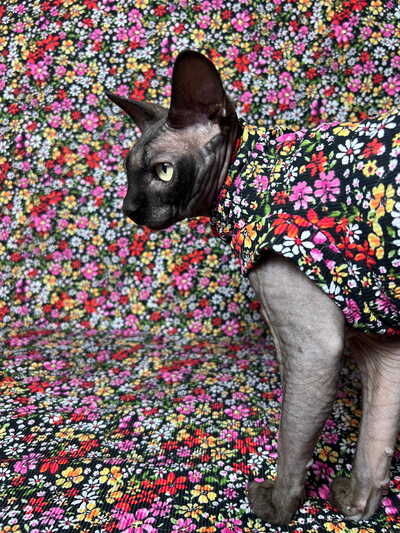 Wildflower Confetti - Sleepwear