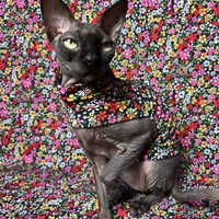 Wildflower Confetti - Sleepwear - Thumbnail 2