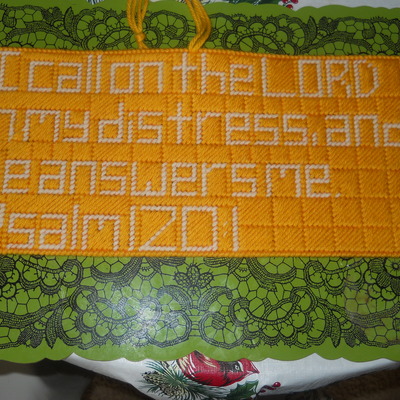 Needlepoint wall hanging:psalm120:1