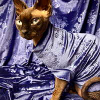 Royal Nocturne - Velvet - Thumbnail 1