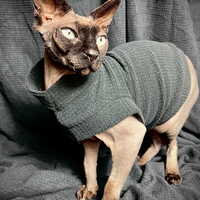 Check Meowt - Velvet - Thumbnail 2