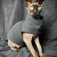 Check Meowt - Velvet - Thumbnail 1