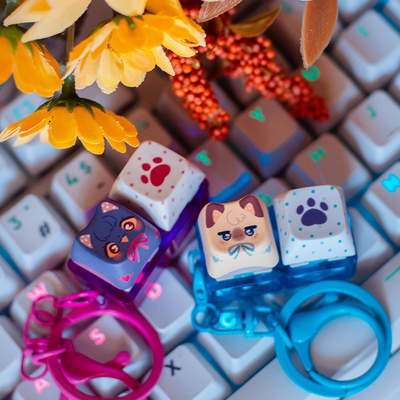 Miaumis fidget light charm