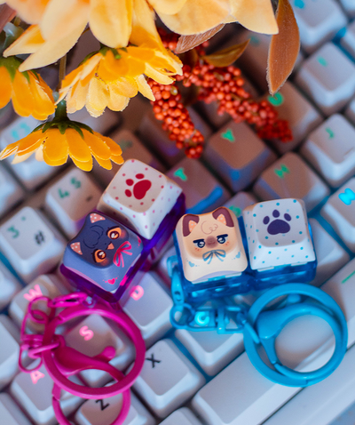 Miaumis fidget light charm