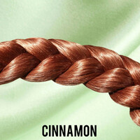 CINNAMON ✨️ Royal Locz 👑 Plant Based Braiding Hair - Thumbnail 1