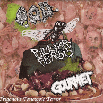 Cd: g.o.d./gourmet/pulmonary fibrosis "split" - Thumbnail 4