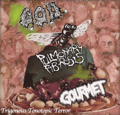 CD: G.O.D./Gourmet/Pulmonary Fibrosis "Split"