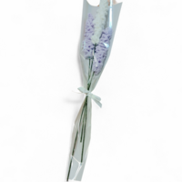 Single‑Stem Lavender Trio - Thumbnail 1