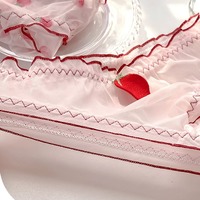 4pcs Strawberry Mesh Panties Set - Thumbnail 4