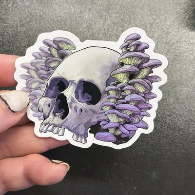 Shroom skull sticker