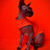 Feline Hunter - Sleepwear - Thumbnail 1