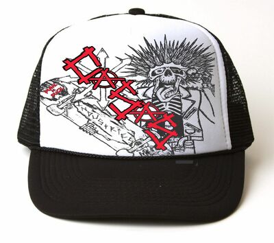SKATER Truckers cap # 2002