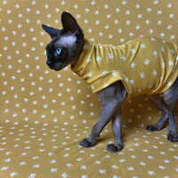 Mustard Floral Tussie-Mussie - Thumbnail 2