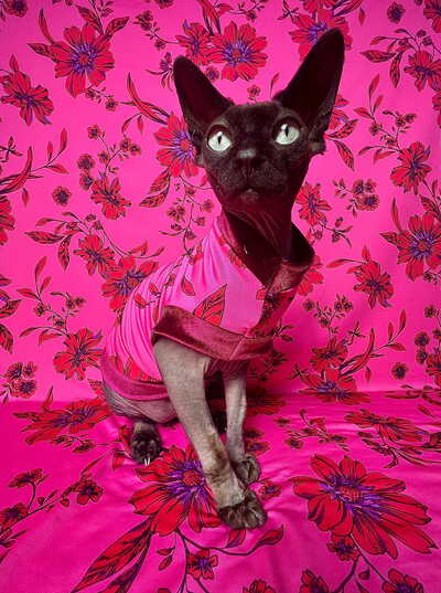 Imperial Rouge Floral