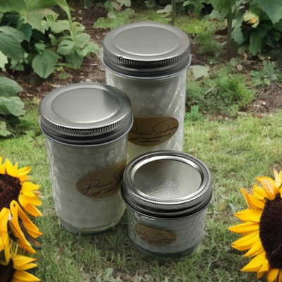 Provence sunflower