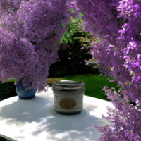 Manito Lilac - Thumbnail 2